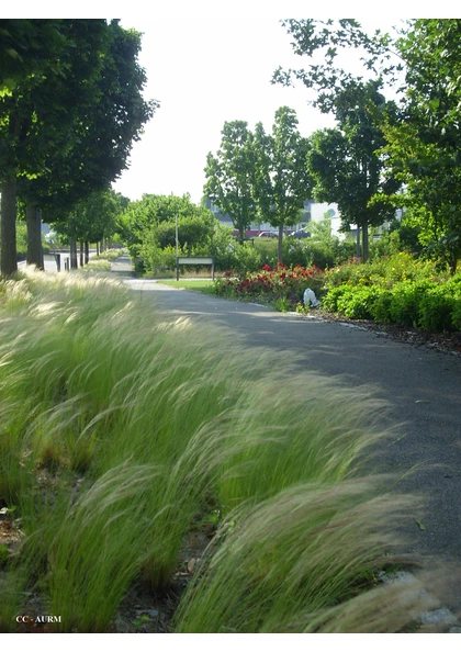 2009 Mulhouse ParcDesCollines