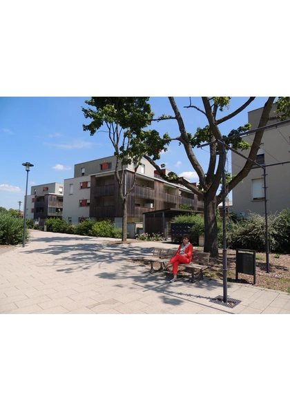 2013 Mulhouse CiteWagner11