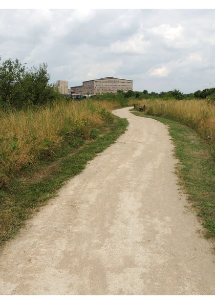 2013 Wittenheim PromenadeJosephVogt02