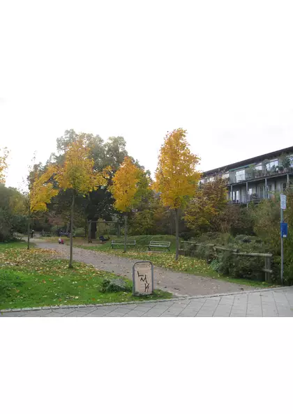 2016 Freiburg  Vauban   Parc espaces verts