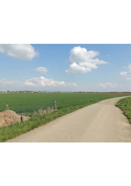 2021 Ruelisheim piste cyclable