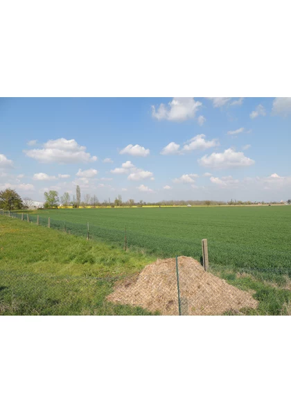 2021 Ruelisheim piste cyclable7