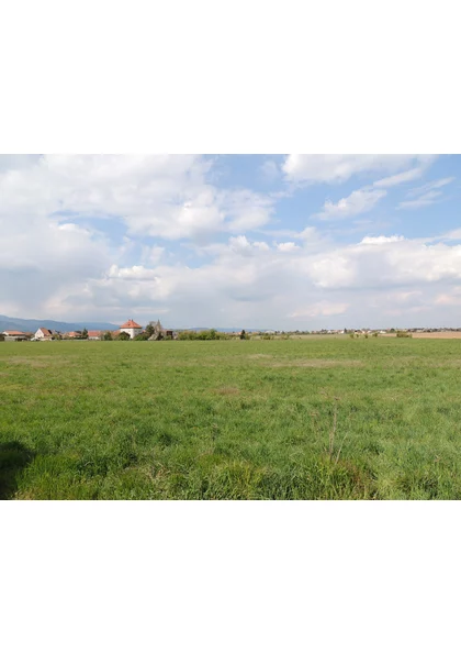 2021 Wittelsheim plaine