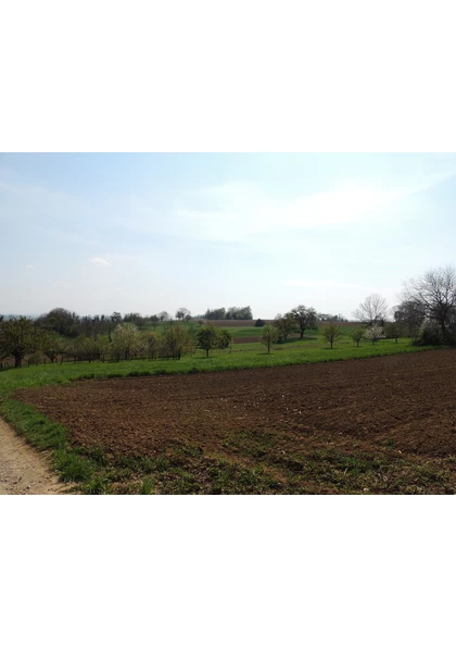 2021 Habsheim collines