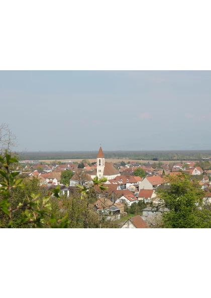 2021 Habsheim collines5