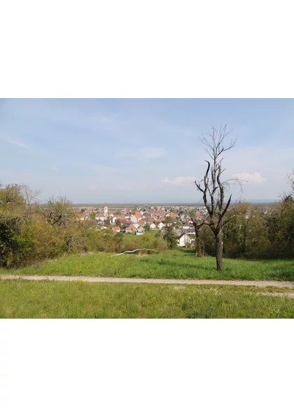 2021 Habsheim collines7