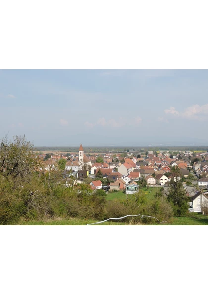 2021 Habsheim collines8