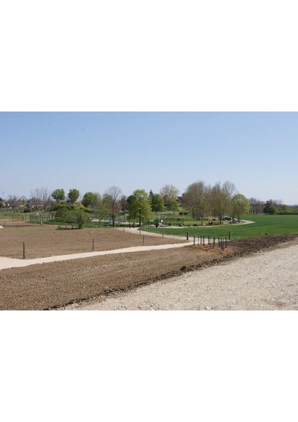 2021 Sausheim Colline des jeux (2)