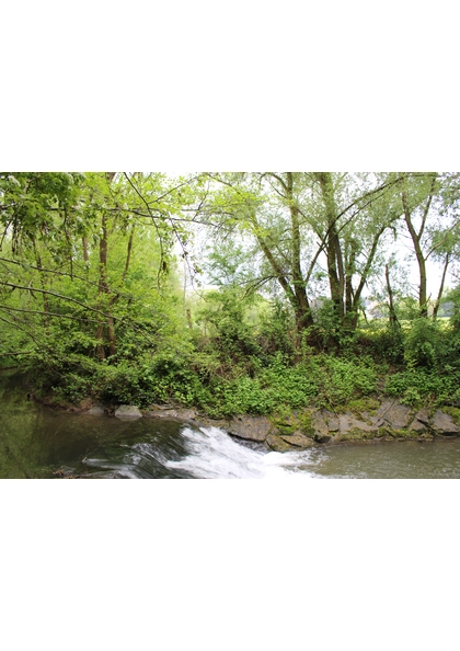 2022 Altenach nature (2)