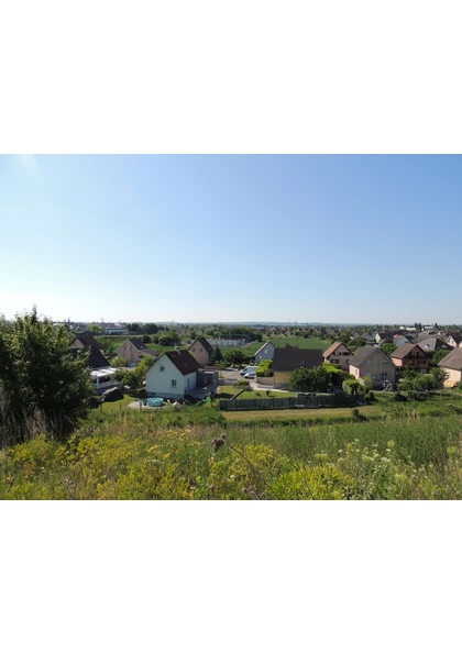 2022 Wittenheim terril fernand (14)