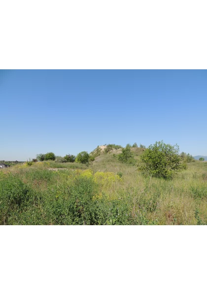 2022 Wittenheim terril fernand (20)