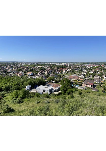 2022 Wittenheim terril Fernand panorama biodiversité vosges foret-noire (37)