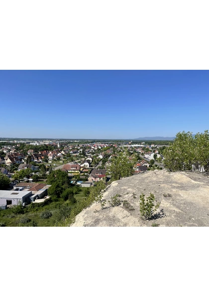 2022 Wittenheim terril Fernand panorama biodiversité vosges foret-noire (45)
