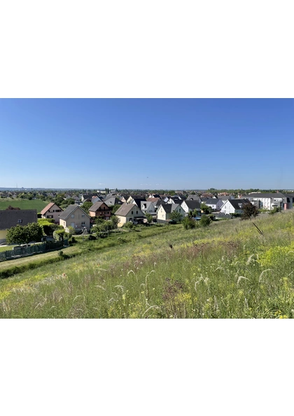 2022 Wittenheim terril Fernand panorama biodiversité vosges foret-noire (35)