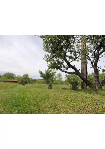 2022 Zimmersheim pre (1)