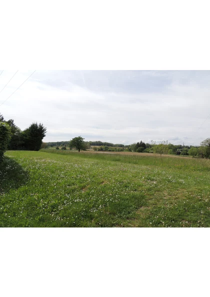 2022 Zimmersheim pre (2)