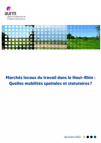 Marchés locaux du travail dans le Haut-Rhin : quelles mobilités spatiales et statutaires ?